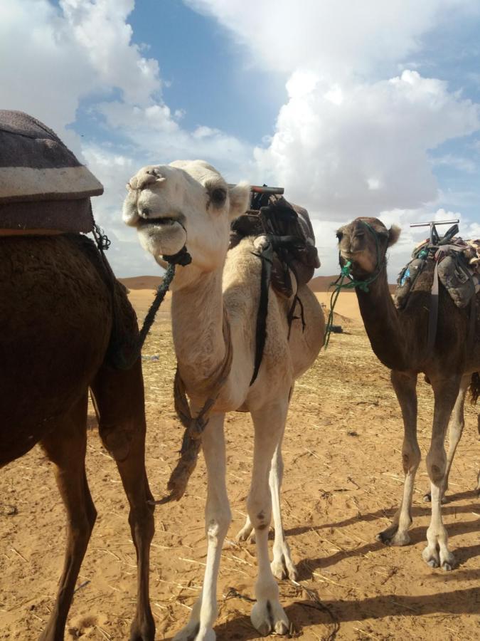 Nomad House Hotel Merzouga Buitenkant foto